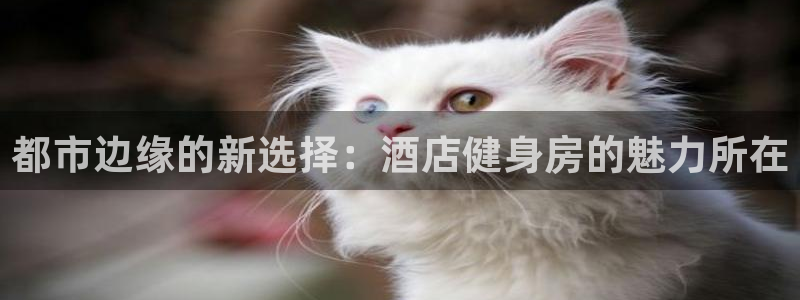 凯捷体育招商