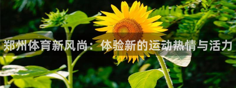 凯捷体育官方平台