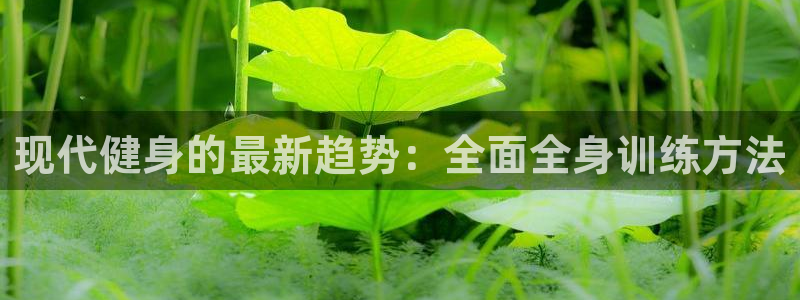 凯捷体育代理