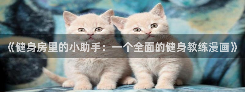 凯捷体育官方网站