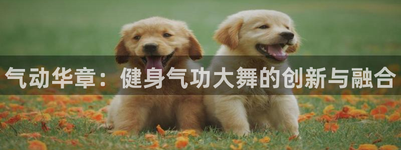 凯捷体育官方网站