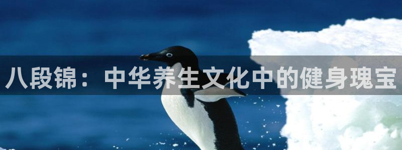 凯捷体育官网
