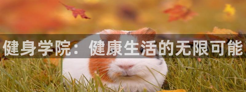 凯捷体育代理