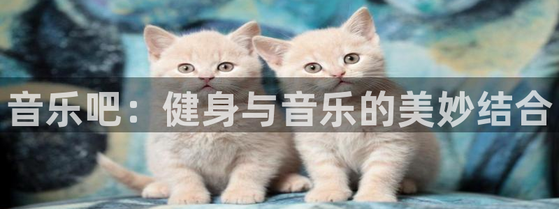 凯捷体育招商