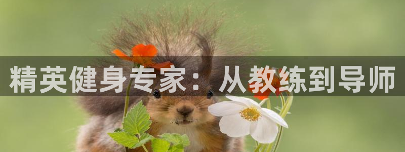 凯捷体育代理